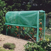 Tunnel-shaped greenhouse for Tomatoes - 3 m